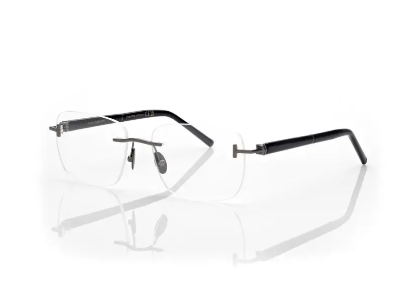 HORN AND TITANIUM RECTANGULAR OPTICALS online